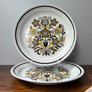 Folklore Ironstone Ware by Myott England 2 Dinner Plates 10" Brown Flowers
